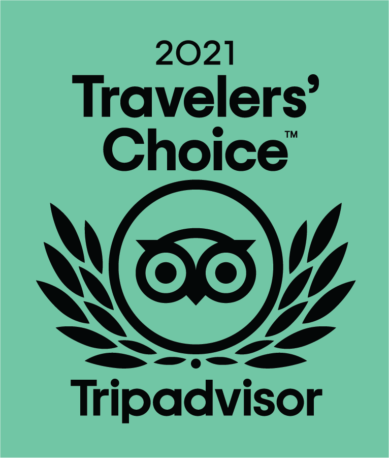 Trip Advisor Traveler's choice Award 2020 Badge